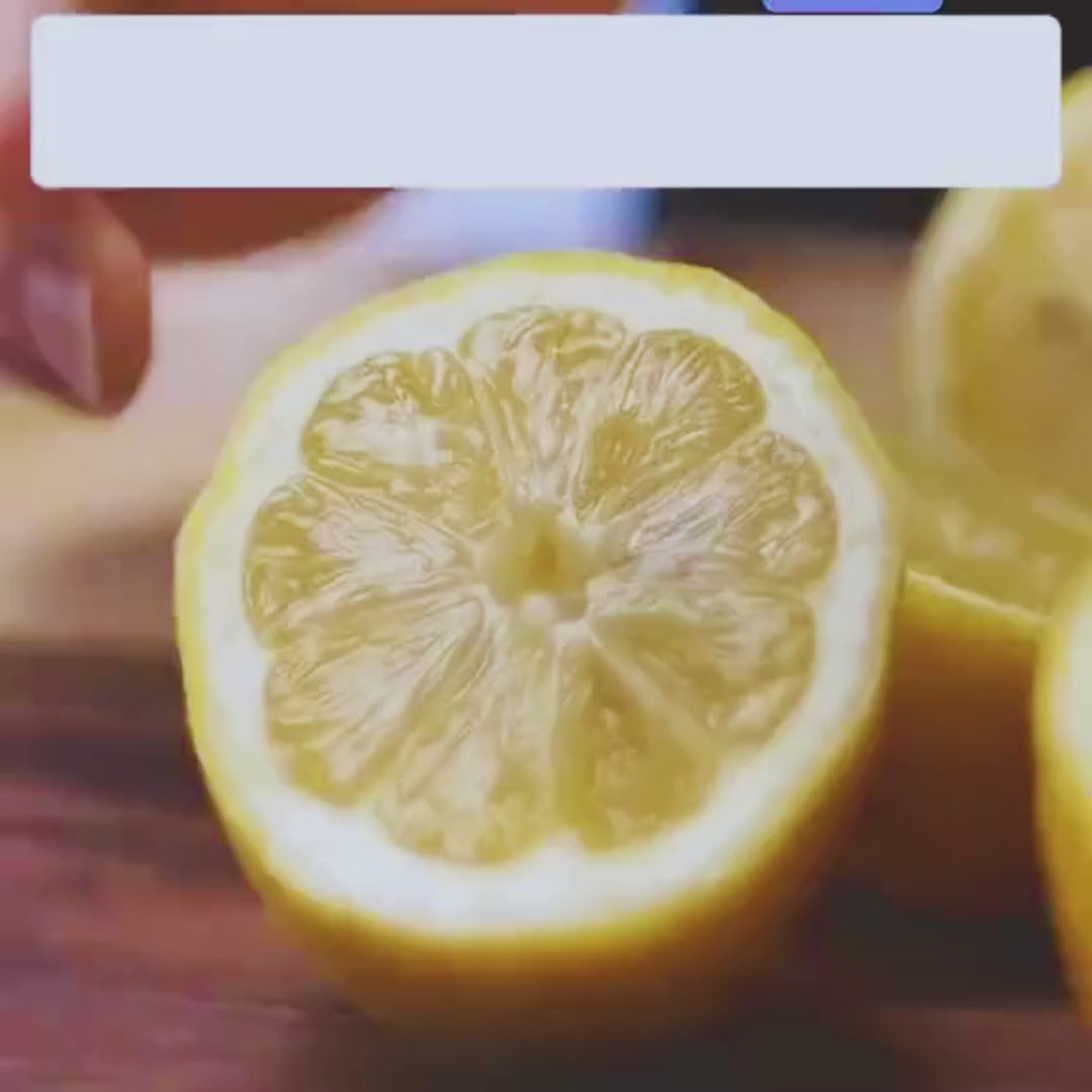 Stainless Steel Lemon Squeezer